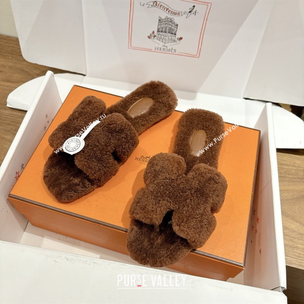 Hermes Oran Sandals in Shearling Wool H101601 Brown 2025 (XC-25101601)