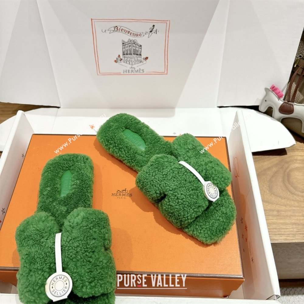 Hermes Oran Sandals in Shearling Wool H101603 Green 2025 (XC-25101603)