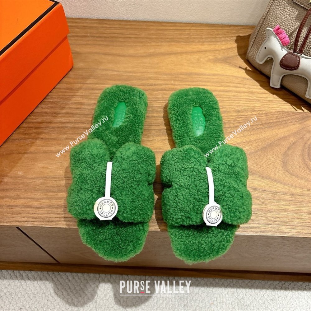 Hermes Oran Sandals in Shearling Wool H101603 Green 2025 (XC-25101603)