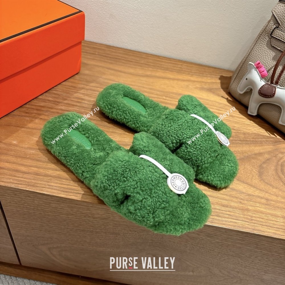 Hermes Oran Sandals in Shearling Wool H101603 Green 2025 (XC-25101603)