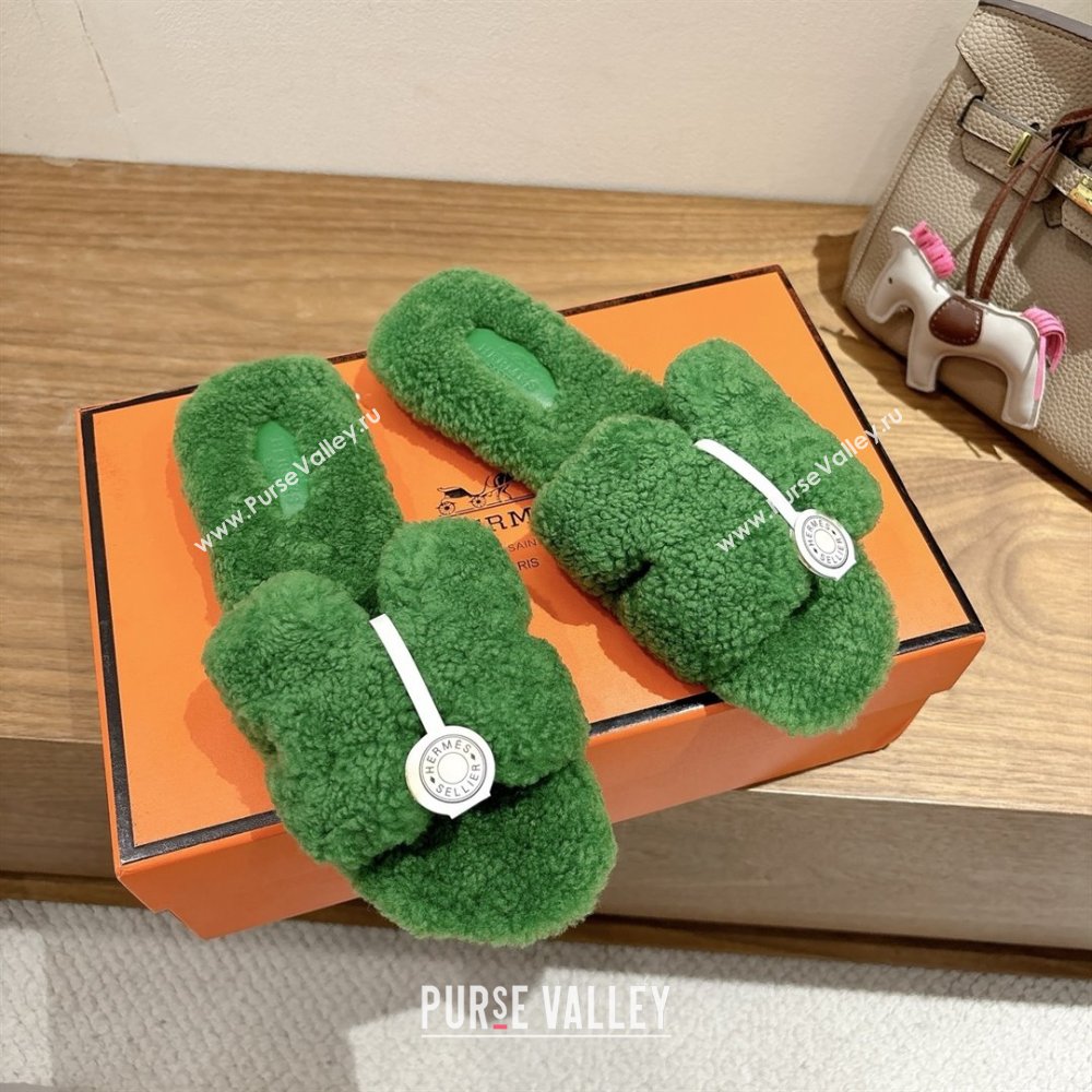 Hermes Oran Sandals in Shearling Wool H101603 Green 2025 (XC-25101603)