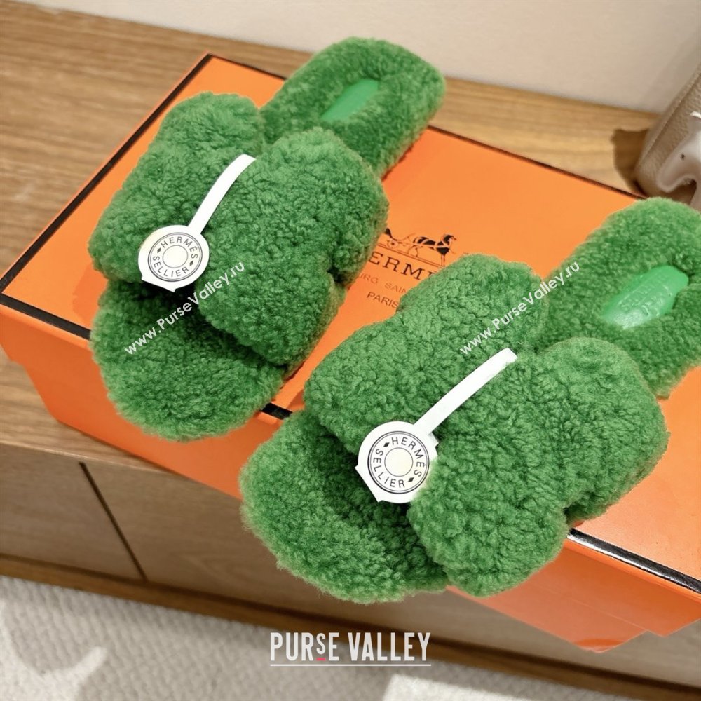 Hermes Oran Sandals in Shearling Wool H101603 Green 2025 (XC-25101603)