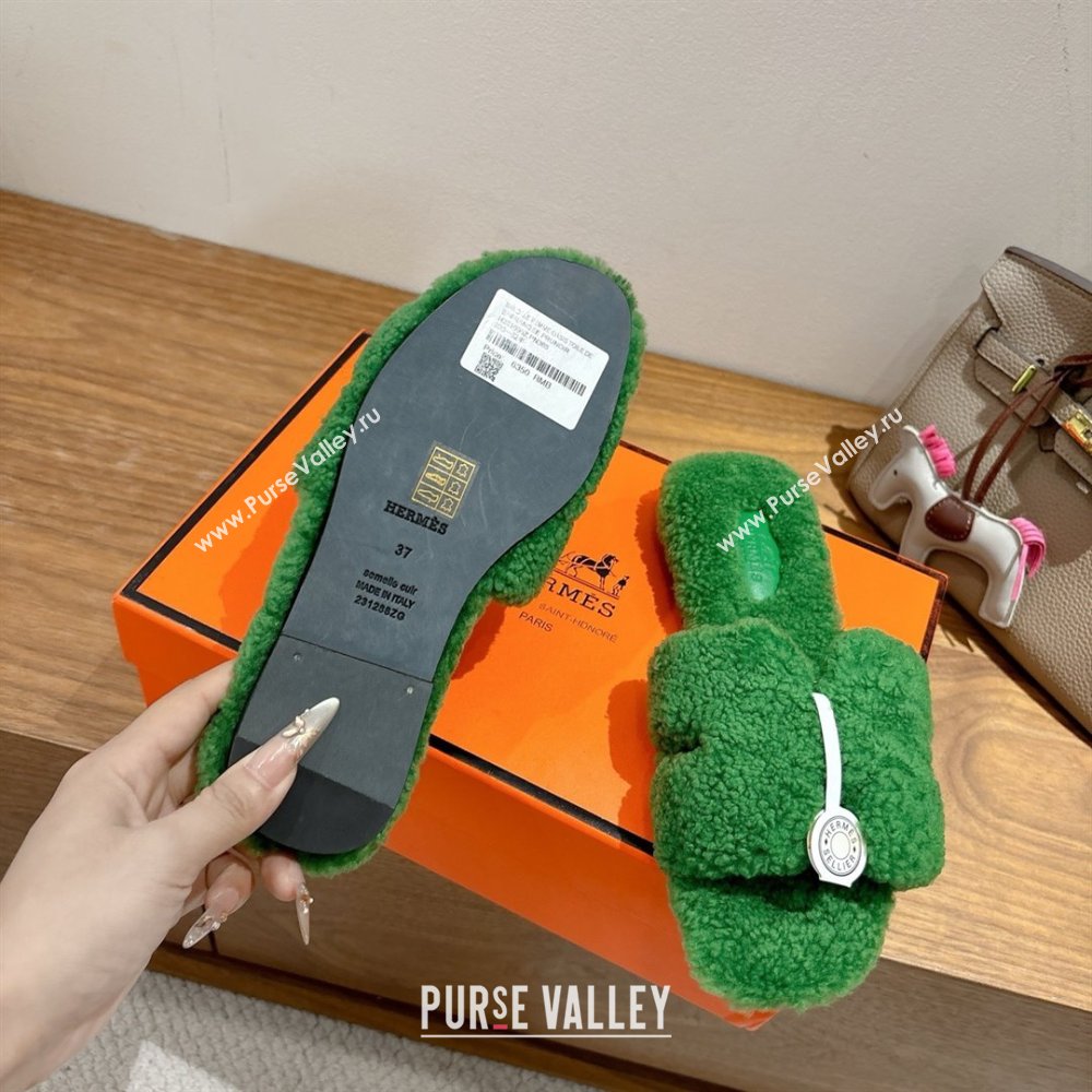 Hermes Oran Sandals in Shearling Wool H101603 Green 2025 (XC-25101603)
