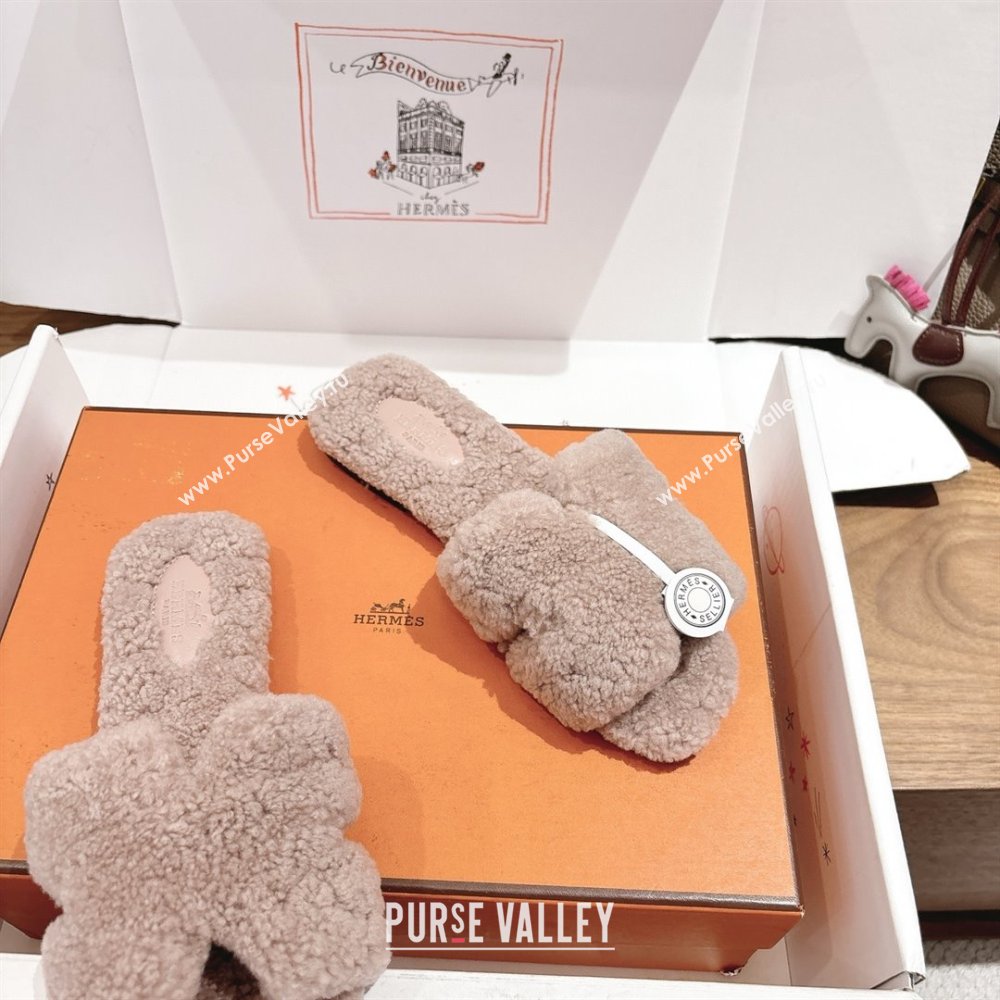 Hermes Oran Sandals in Shearling Wool H101604 Nude Pink 2025 (XC-25101604)
