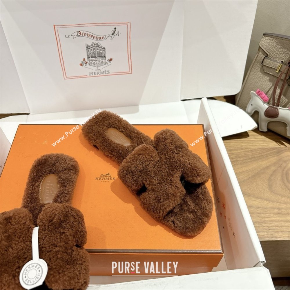 Hermes Oran Sandals in Shearling Wool H101601 Brown 2025 (XC-25101601)
