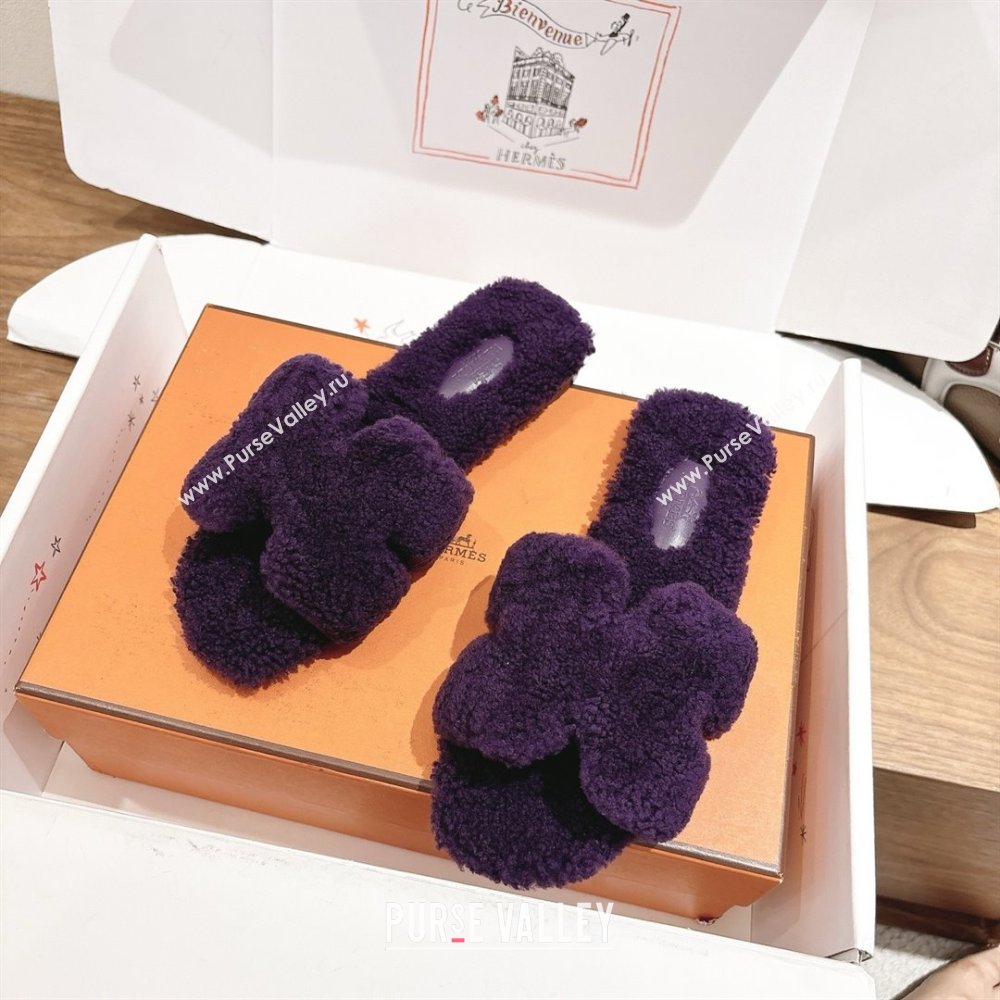 Hermes Oran Sandals in Shearling Wool H101605 Purple 2025 (XC-25101605)