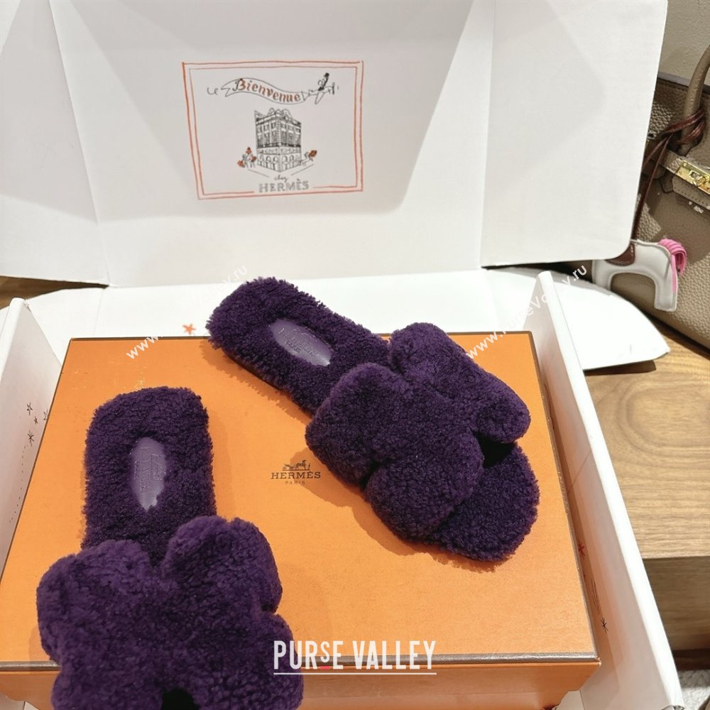 Hermes Oran Sandals in Shearling Wool H101605 Purple 2025 (XC-25101605)
