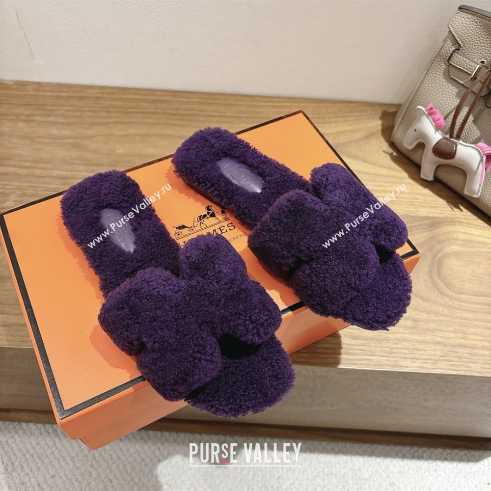 Hermes Oran Sandals in Shearling Wool H101605 Purple 2025 (XC-25101605)