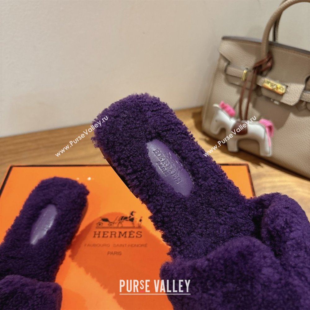 Hermes Oran Sandals in Shearling Wool H101605 Purple 2025 (XC-25101605)