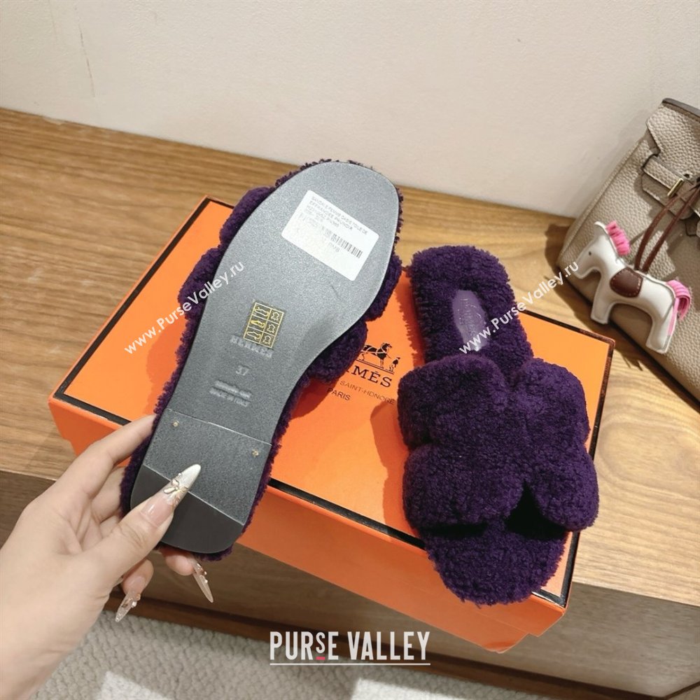 Hermes Oran Sandals in Shearling Wool H101605 Purple 2025 (XC-25101605)