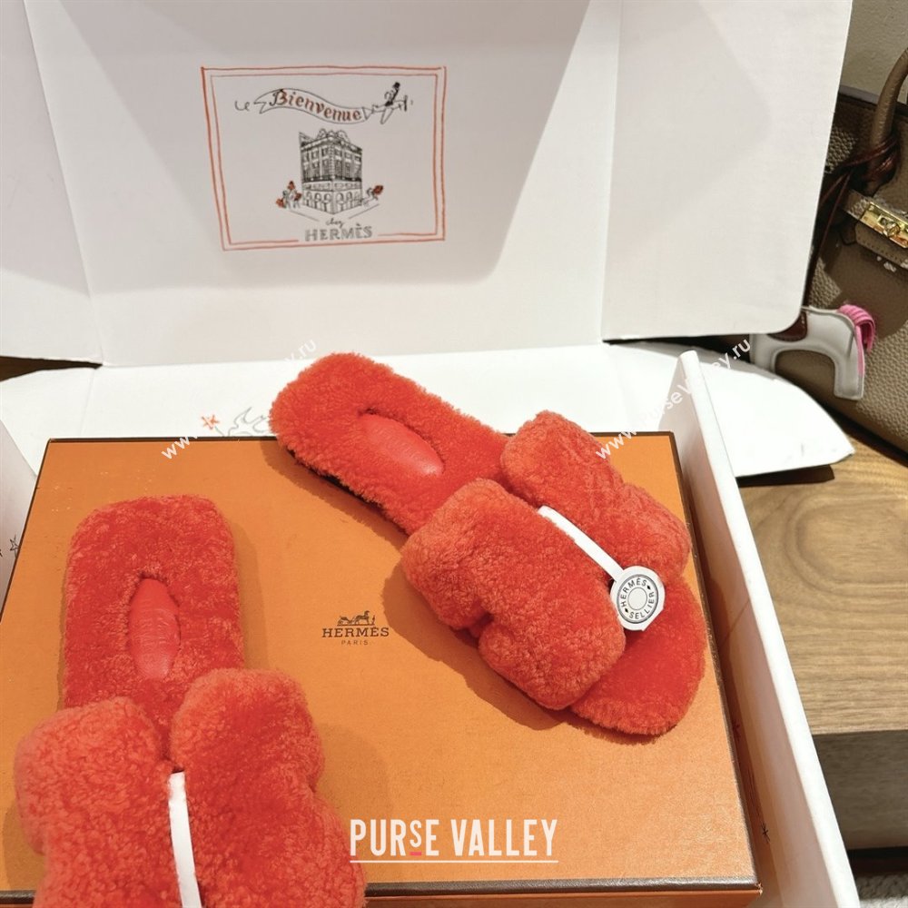 Hermes Oran Sandals in Shearling Wool H101607 Orange 2025 (XC-25101607)
