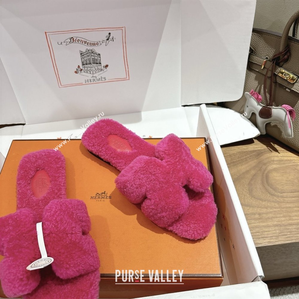 Hermes Oran Sandals in Shearling Wool H101609 Rosy 2025 (XC-25101609)