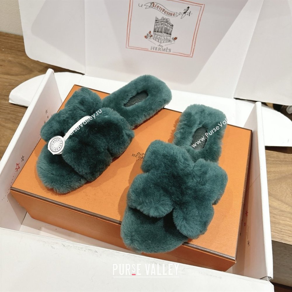 Hermes Oran Sandals in Shearling Wool H101611 Green 2025 (XC-25101611)