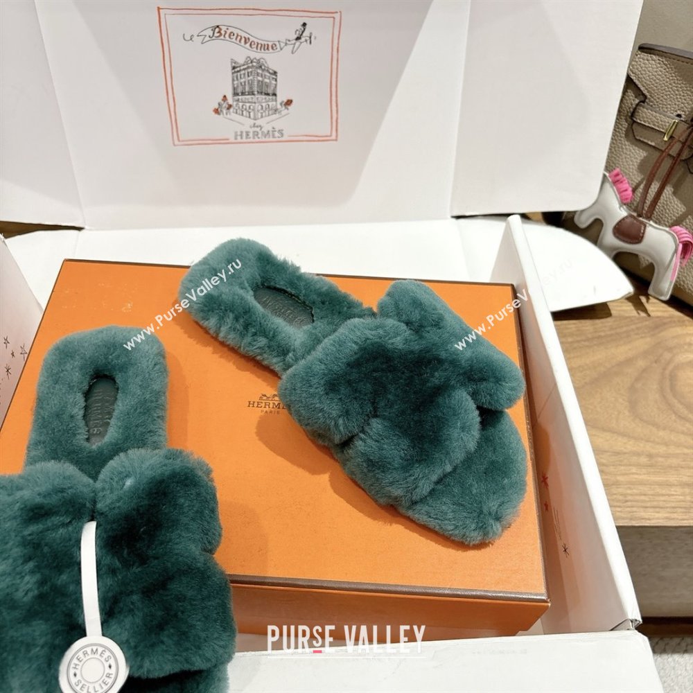 Hermes Oran Sandals in Shearling Wool H101611 Green 2025 (XC-25101611)