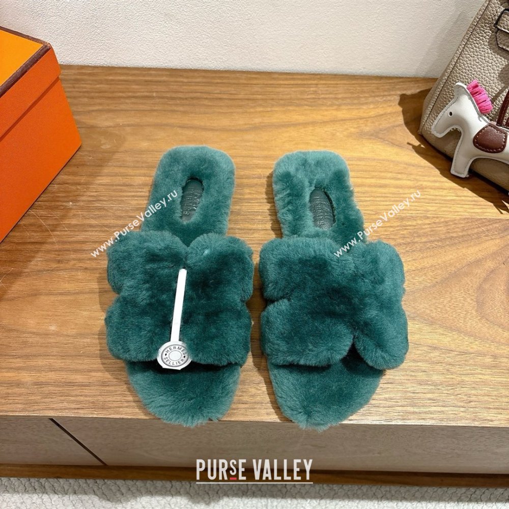 Hermes Oran Sandals in Shearling Wool H101611 Green 2025 (XC-25101611)