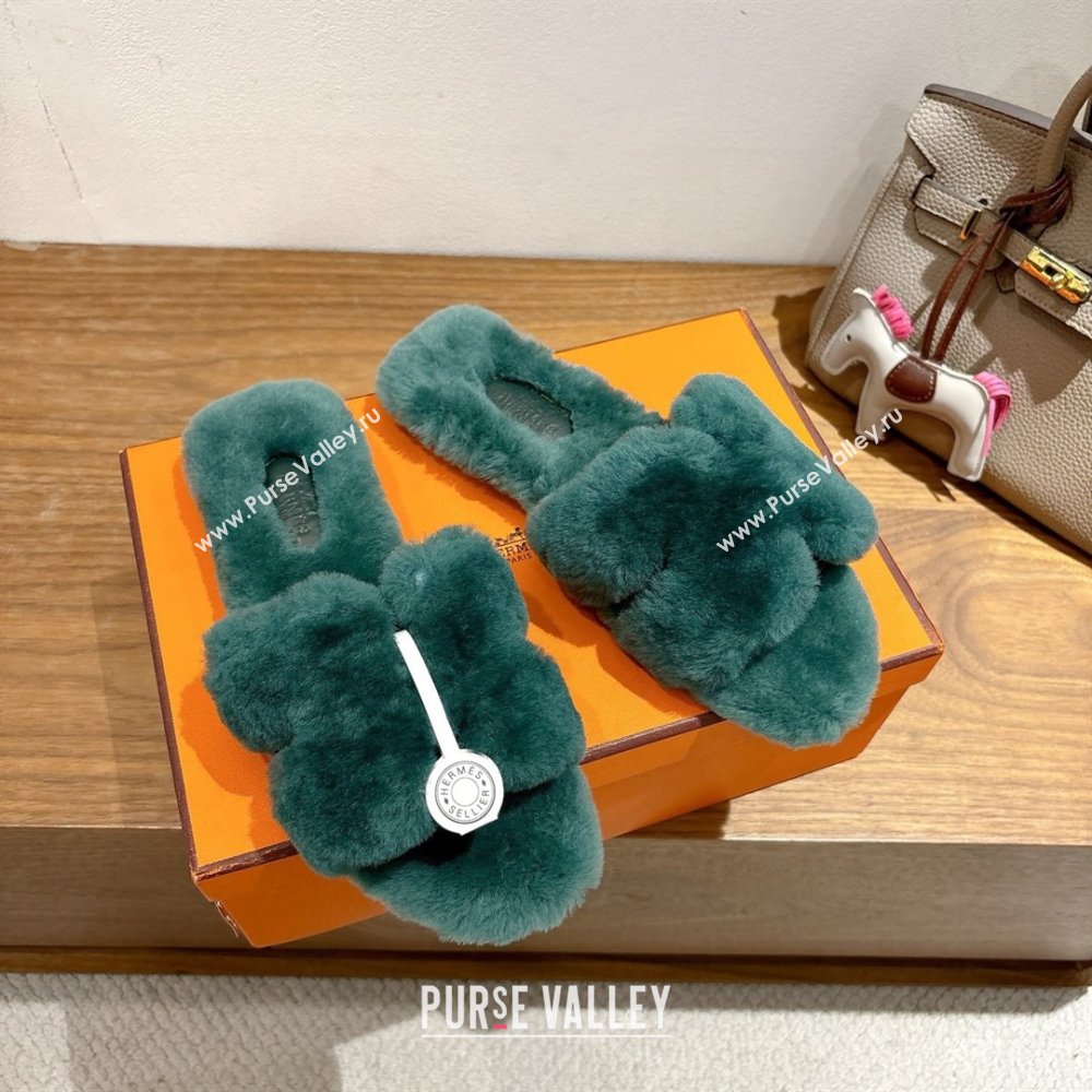 Hermes Oran Sandals in Shearling Wool H101611 Green 2025 (XC-25101611)