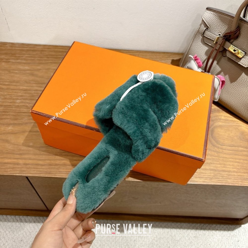 Hermes Oran Sandals in Shearling Wool H101611 Green 2025 (XC-25101611)