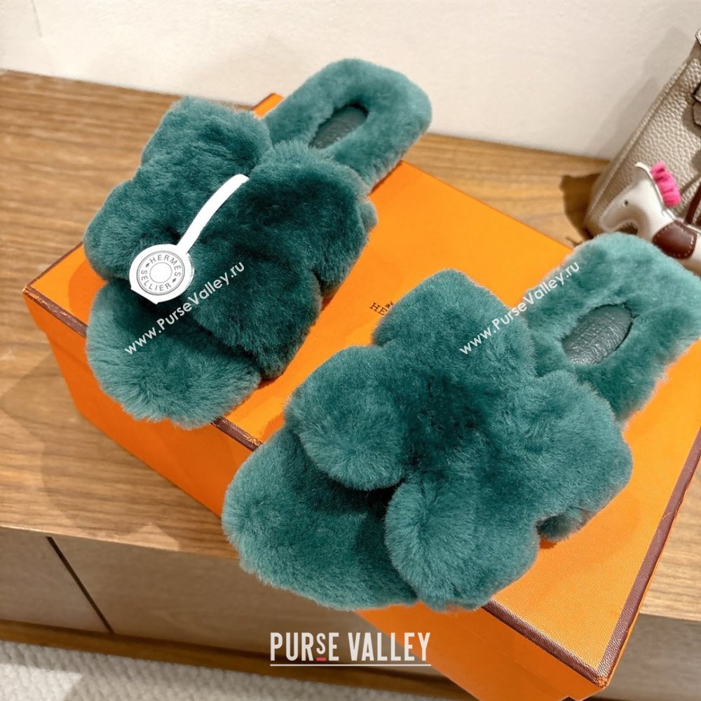 Hermes Oran Sandals in Shearling Wool H101611 Green 2025 (XC-25101611)