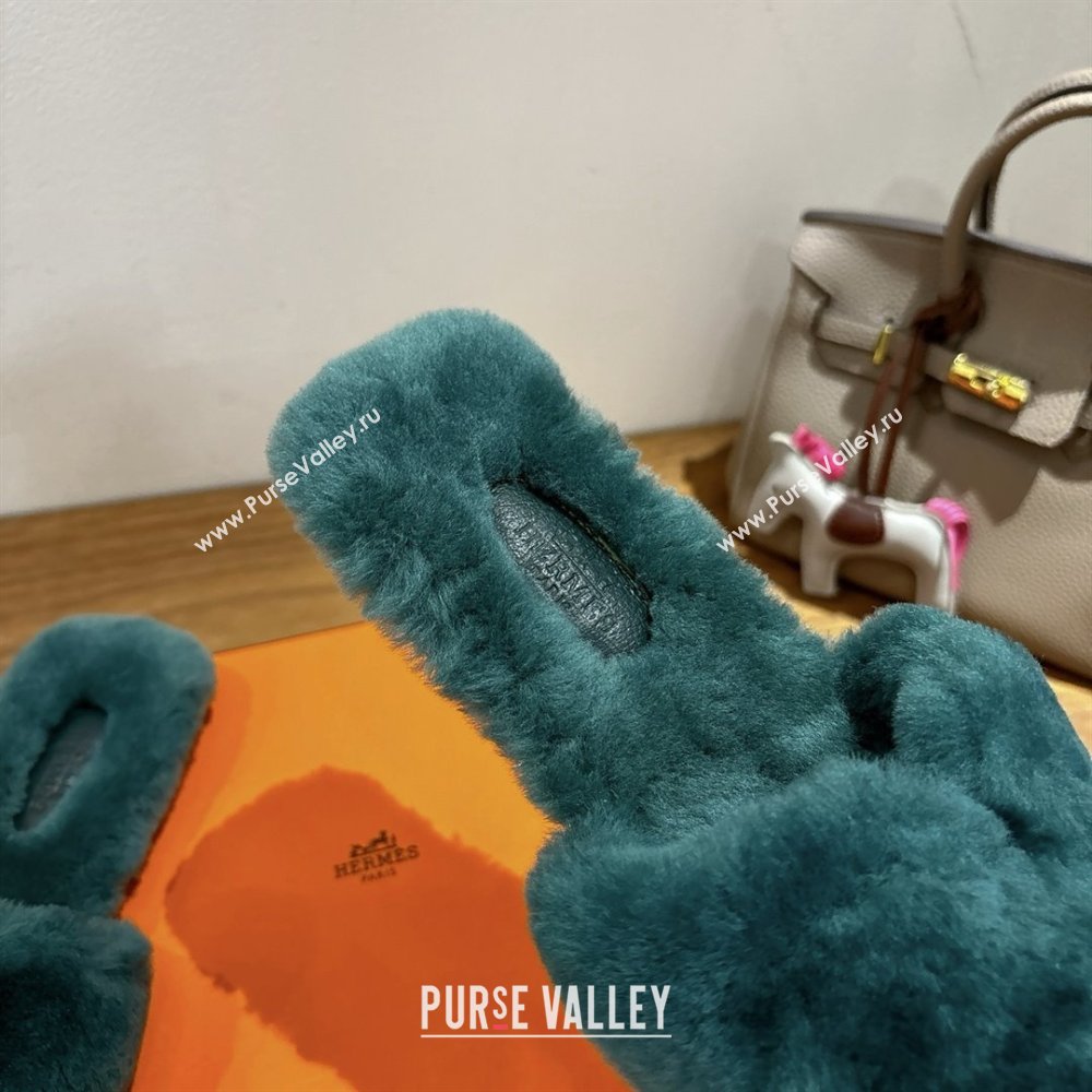 Hermes Oran Sandals in Shearling Wool H101611 Green 2025 (XC-25101611)