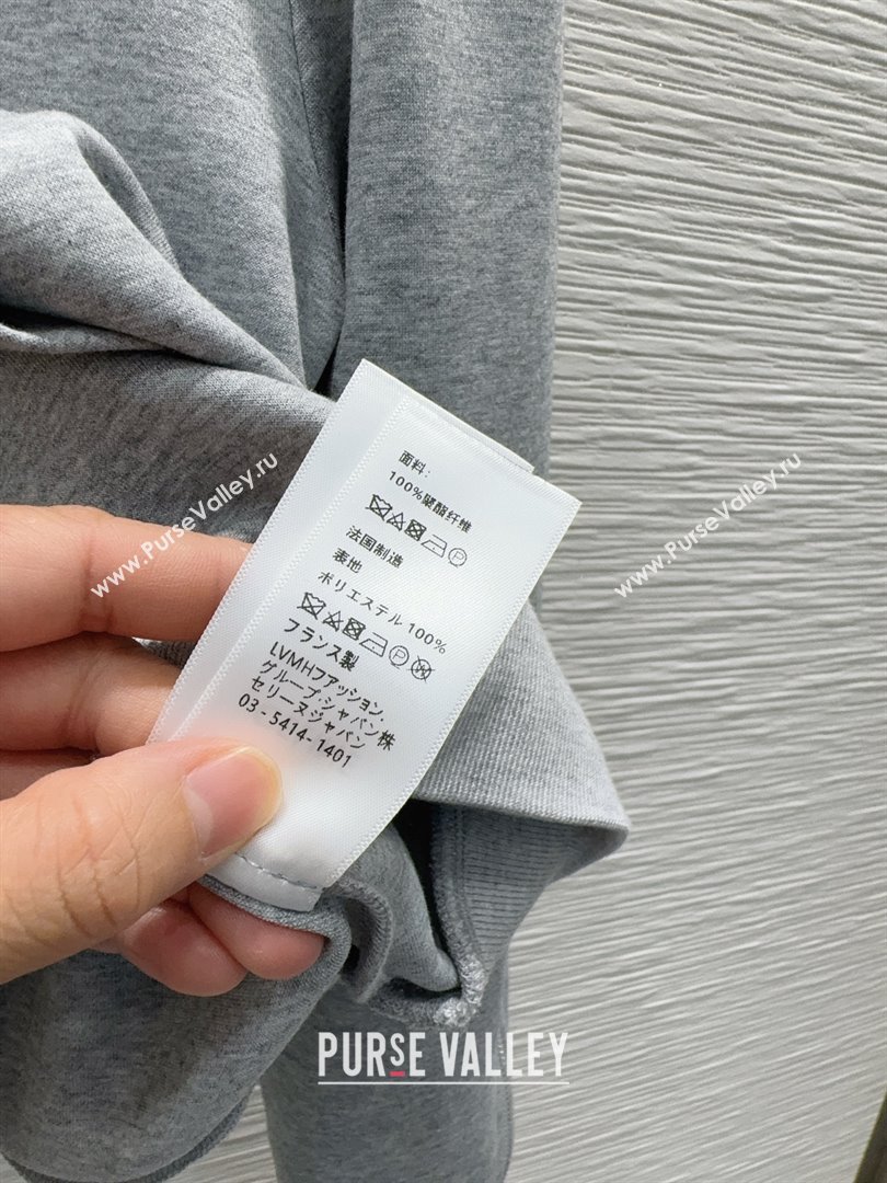 Celine Hoodie and Pants C101713 Grey 2025 (Q-25101713)
