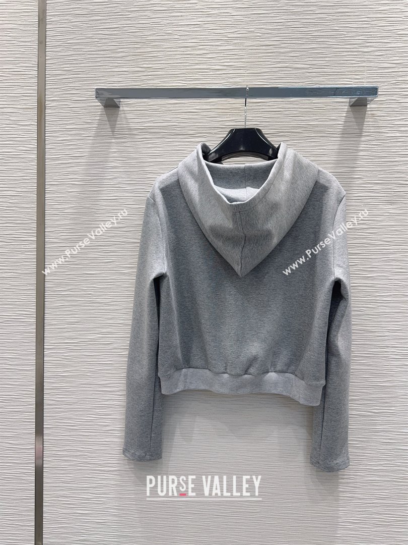 Celine Hoodie and Pants C101713 Grey 2025 (Q-25101713)