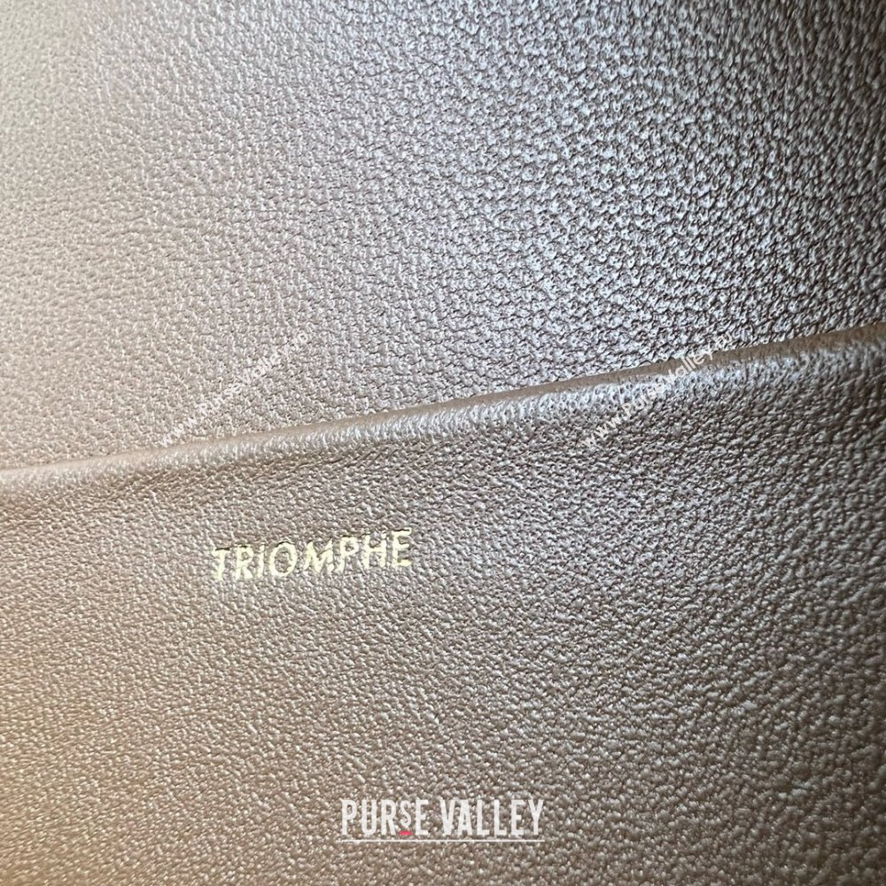 Celine Classique Triomphe Bag in Shiny Calfskin 187363 Khaki Brown 2025 (BL-25102420)
