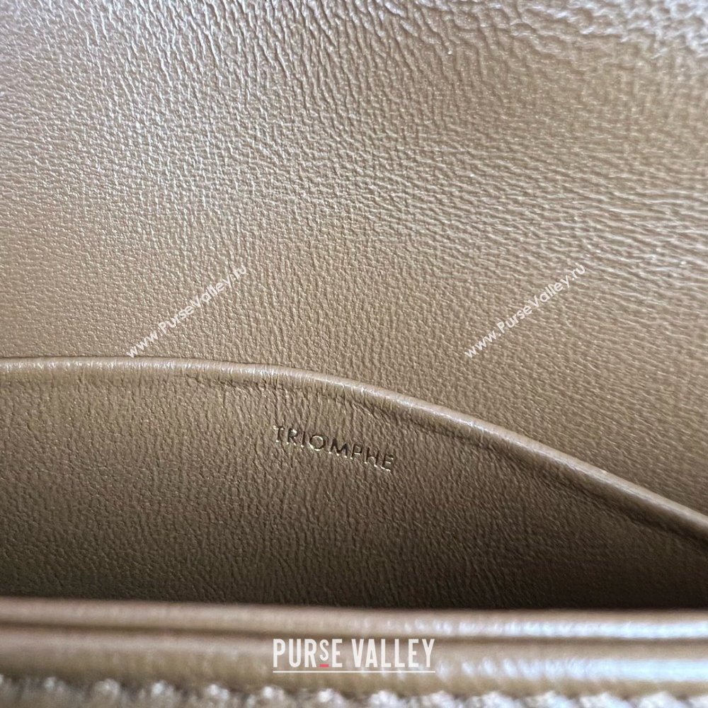 Celine Teen Triomphe Bag in Shiny Calfskin 188423 Khaki Brown 2025 (BL-25102419)