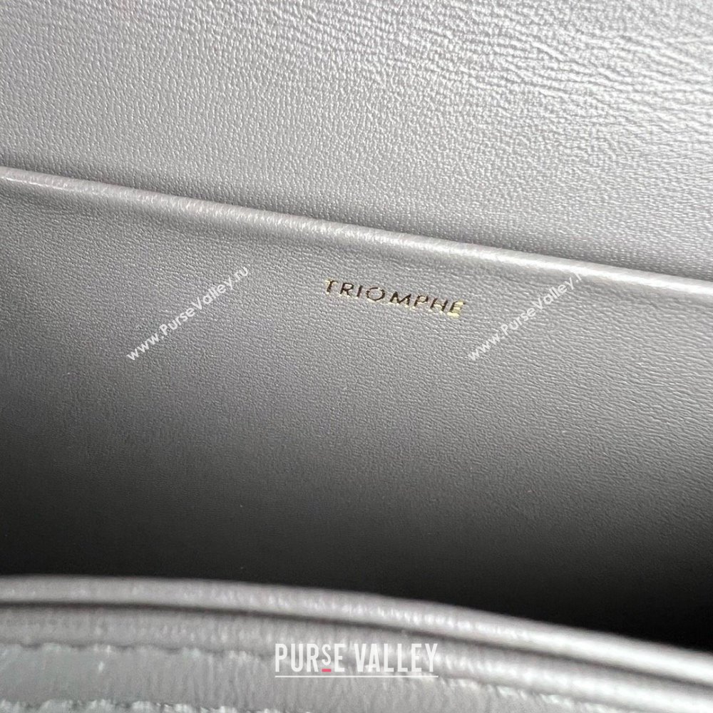 Celine Classique Triomphe Bag in Shiny Calfskin 187363 Lava Grey 2025 (BL-25102426)