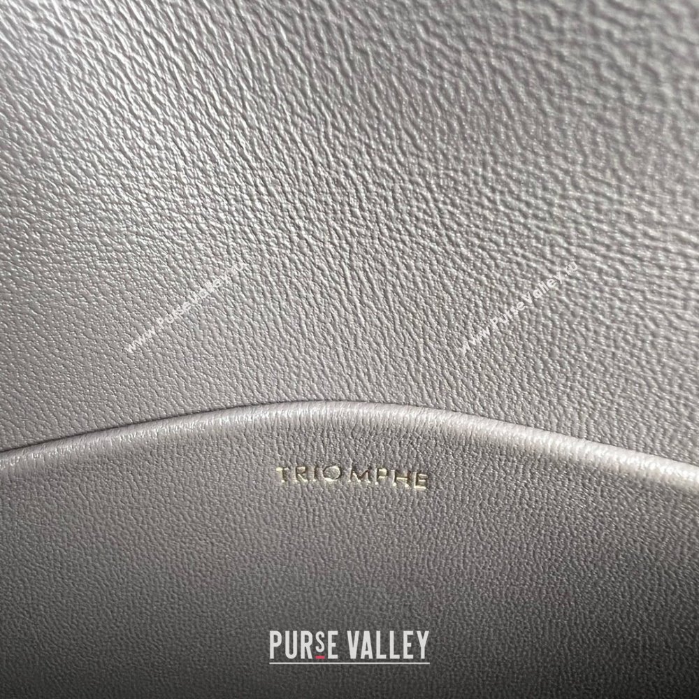 Celine Teen Triomphe Bag in Shiny Calfskin 188423 Lava Grey 2025 (BL-25102425)
