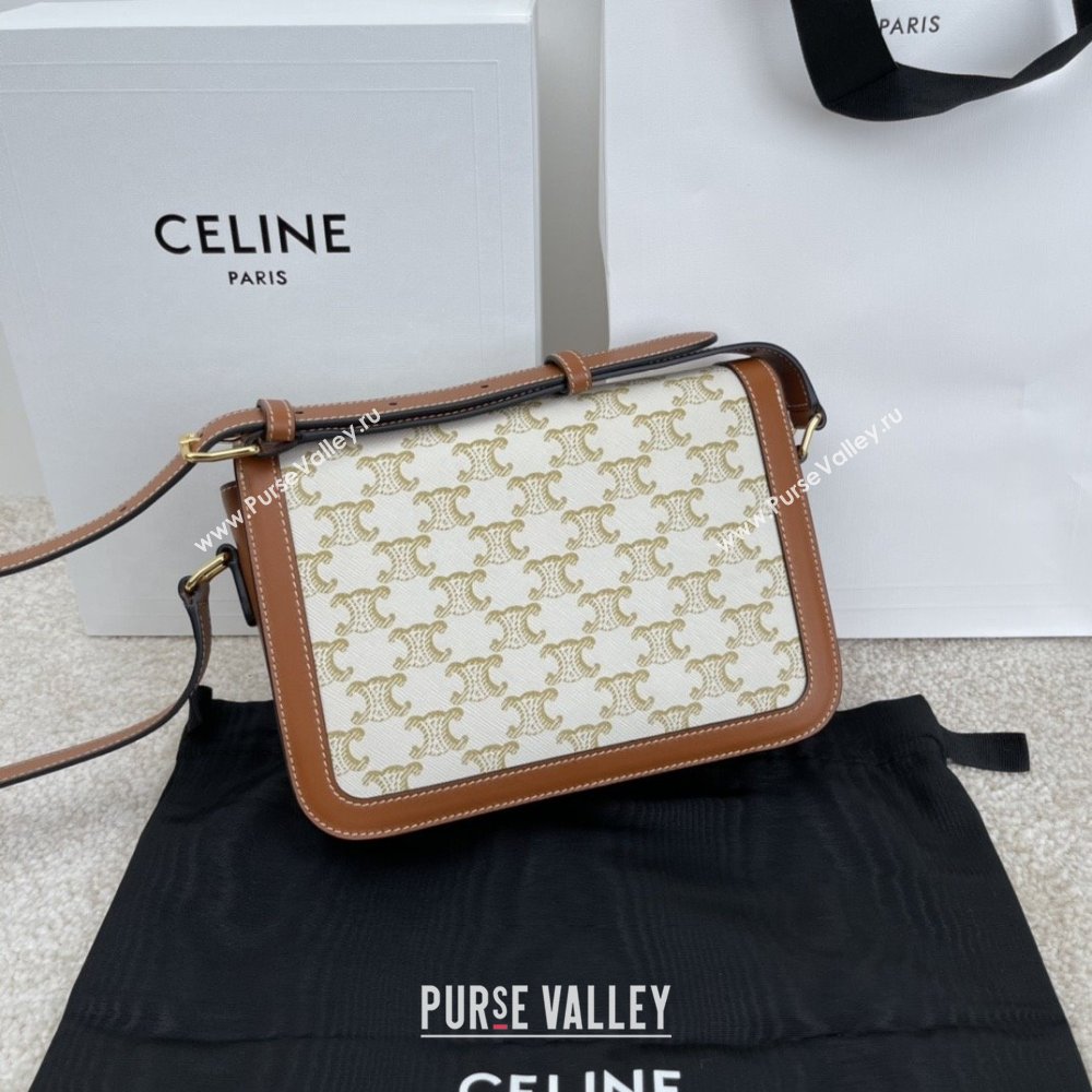 Celine Classique Triomphe Bag in Triomphe Canvas Calfskin 187363 White 2025 (BL-25102436)