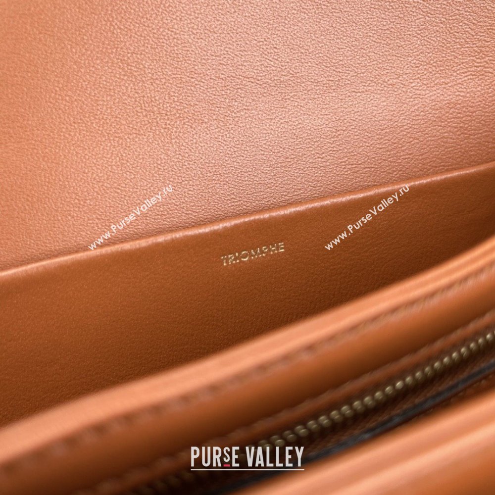 Celine Classique Triomphe Bag in Triomphe Canvas Calfskin 187363 White 2025 (BL-25102436)