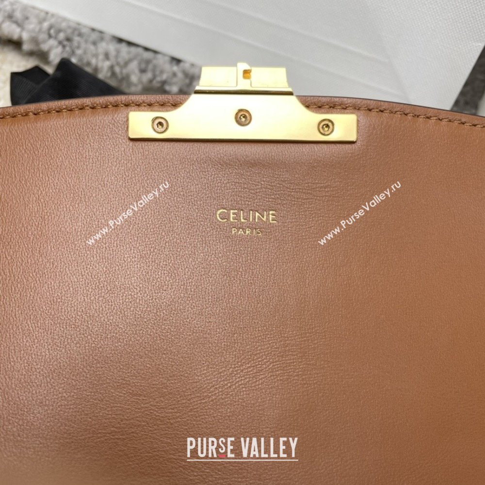 Celine Classique Triomphe Bag in Triomphe Embroidery Canvas Calfskin 187363 Brown/Red 2025 (BL-25102438)