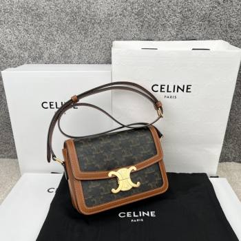 Celine Teen Triomphe Bag in Canvas Calfskin 188423 Brown 2025 (BL-25102411)