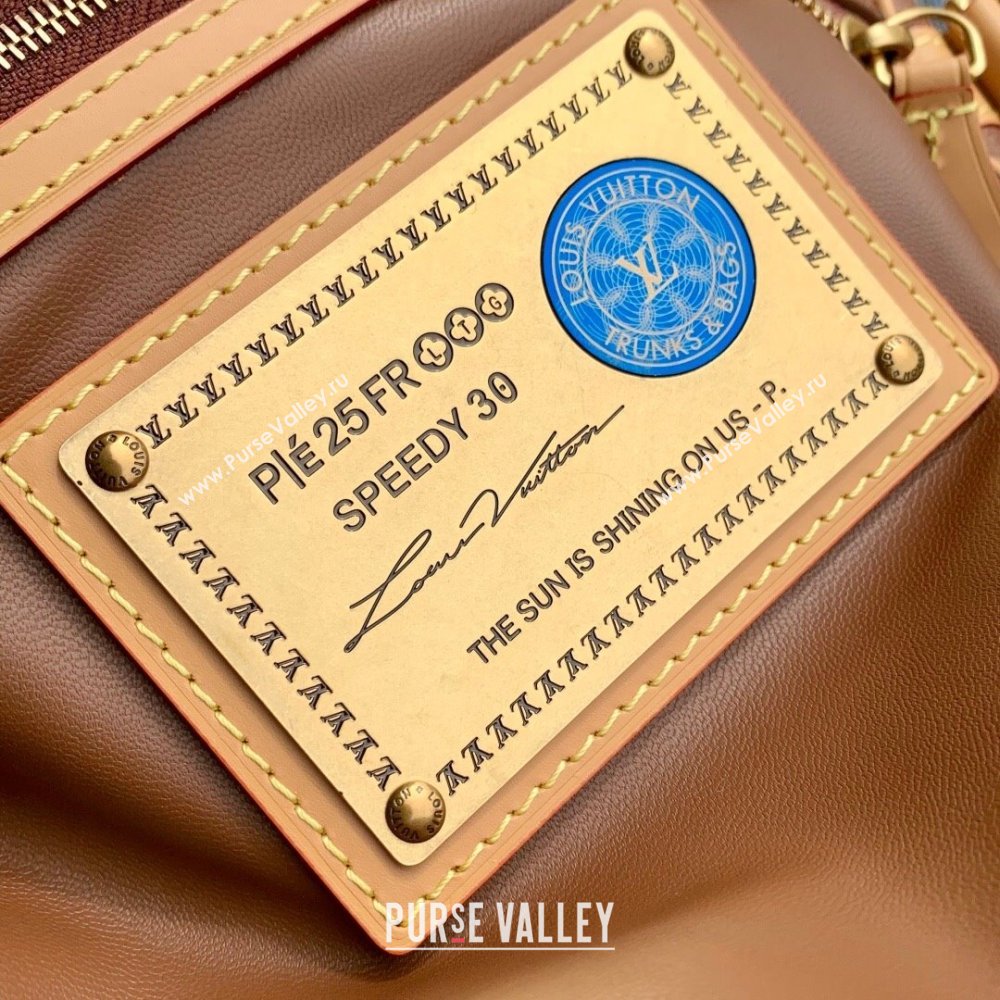 Louis Vuitton Speedy P9 Bandouliere 30 Bag in Stripe Calf Leather M14064 Brown 2025 (K-25110402)