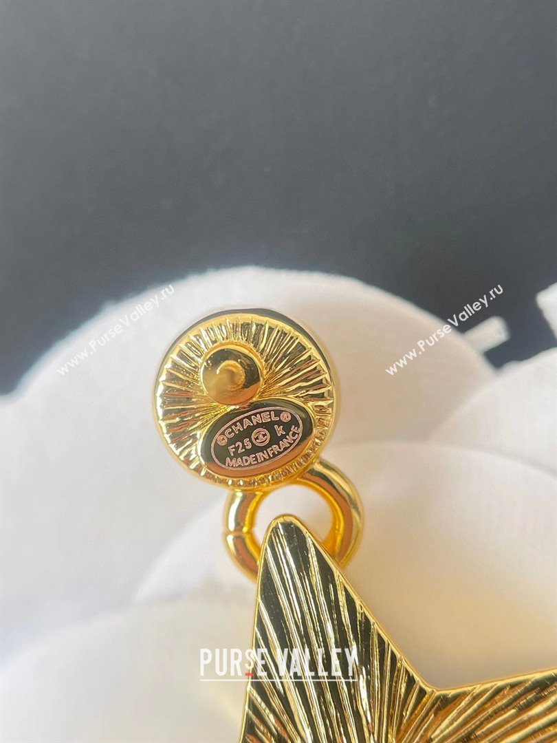 Chanel Star Earrings CH103113 Black 2025 (YF-25103113)