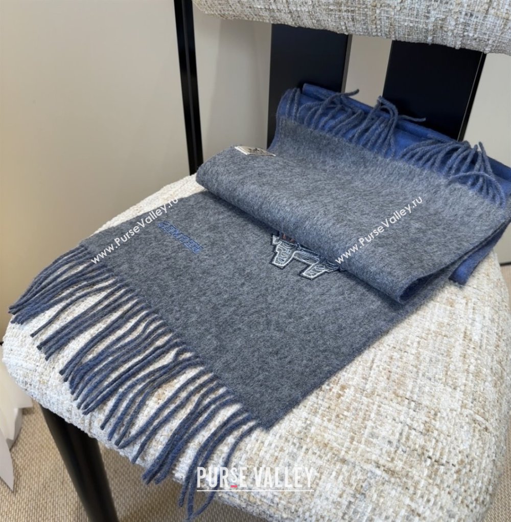 Hermes Long190x35cm Scarf H110502 Blue 2025 (O-25110502)