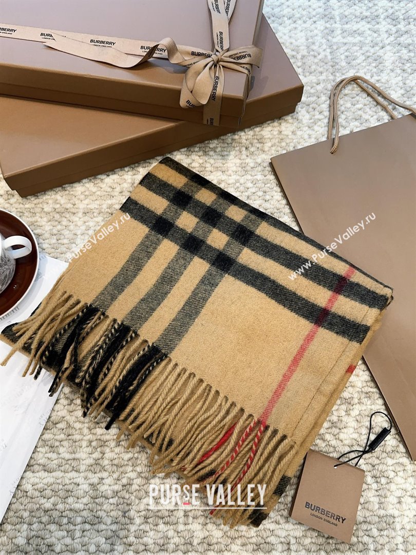 Burberry Cashmere Hooded Scarf B110601 2025 (O-25110601)