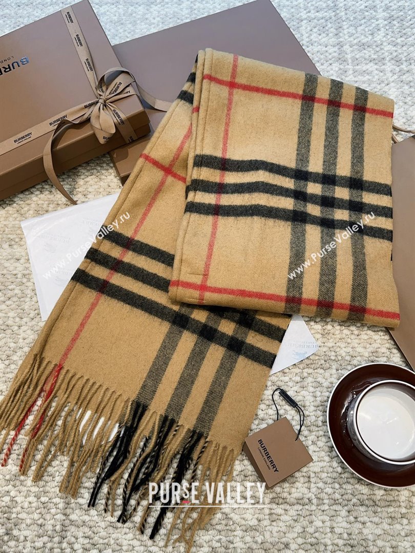 Burberry Cashmere Hooded Scarf B110601 2025 (O-25110601)