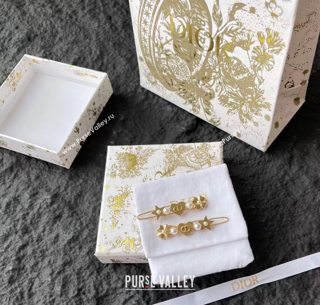 Dior Star Hairclip Gold PAIR 2025 1111 (YF-251112121)