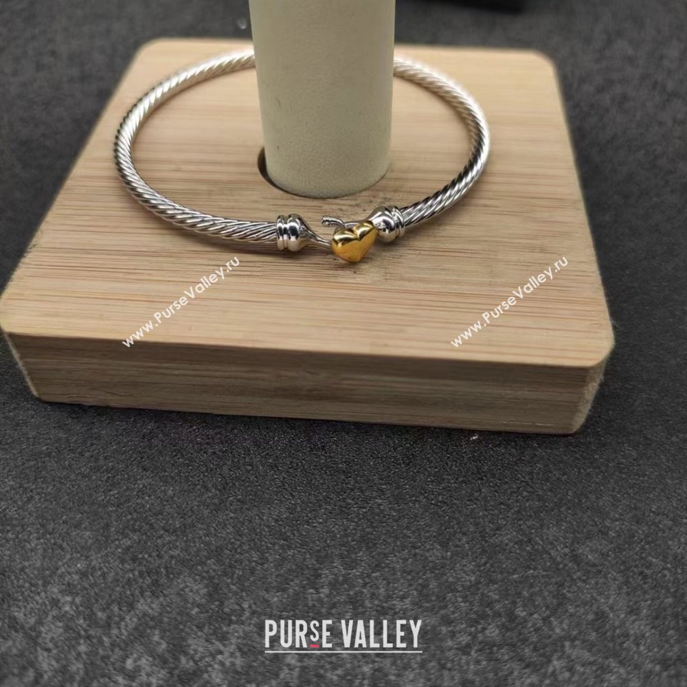David Yurman Bracelet 3mm D111761 Silver 2025 (CS-25111761)
