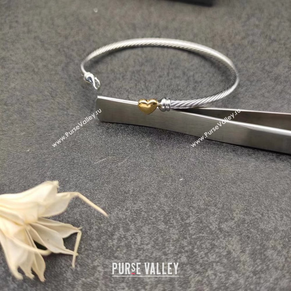 David Yurman Bracelet 3mm D111761 Silver 2025 (CS-25111761)