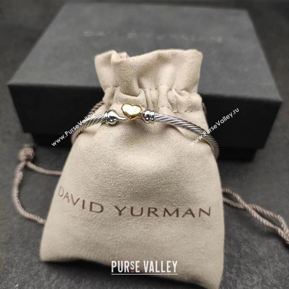 David Yurman Bracelet 3mm D111761 Silver 2025 (CS-25111761)