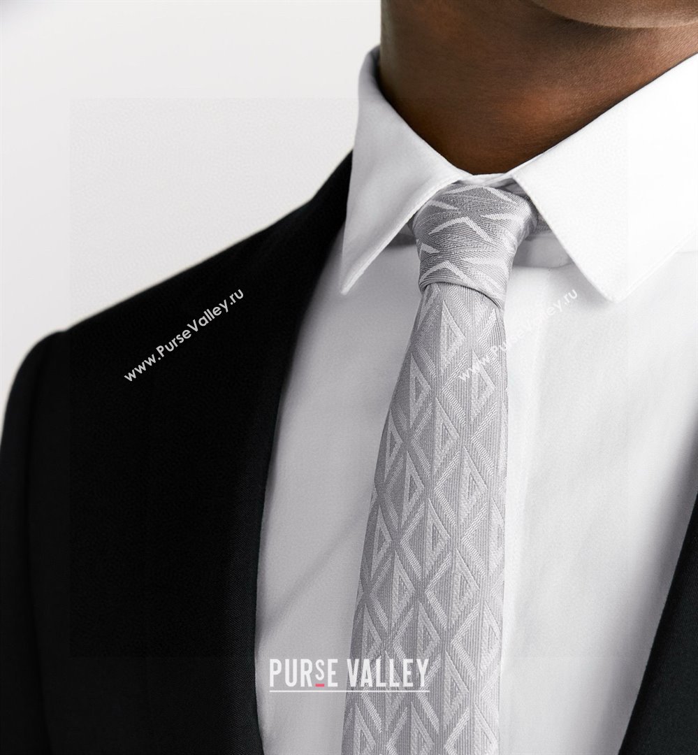 Dior CD Diamond Silk Tie D111819 Light Grey 2025 (A-25111819)