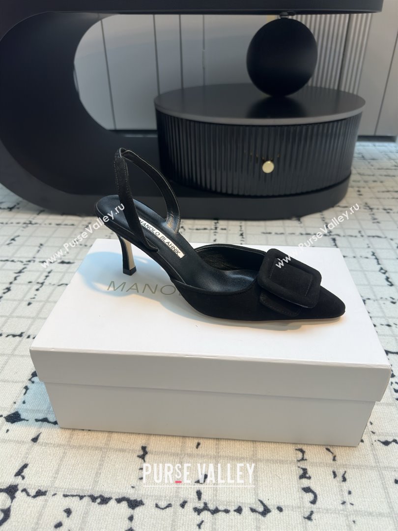 Manolo Blahnik MAYSLI Slingback Pumps with Buckle in Black Suede 2025 (MGN-25112523)