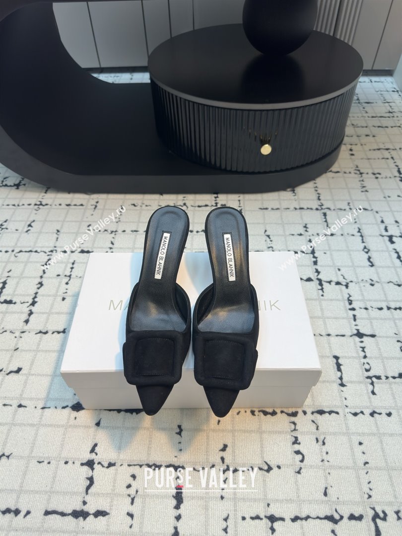 Manolo Blahnik MAYSALE 70 Mules with Buckle in Black Suede 2025 (MGN-25112527)