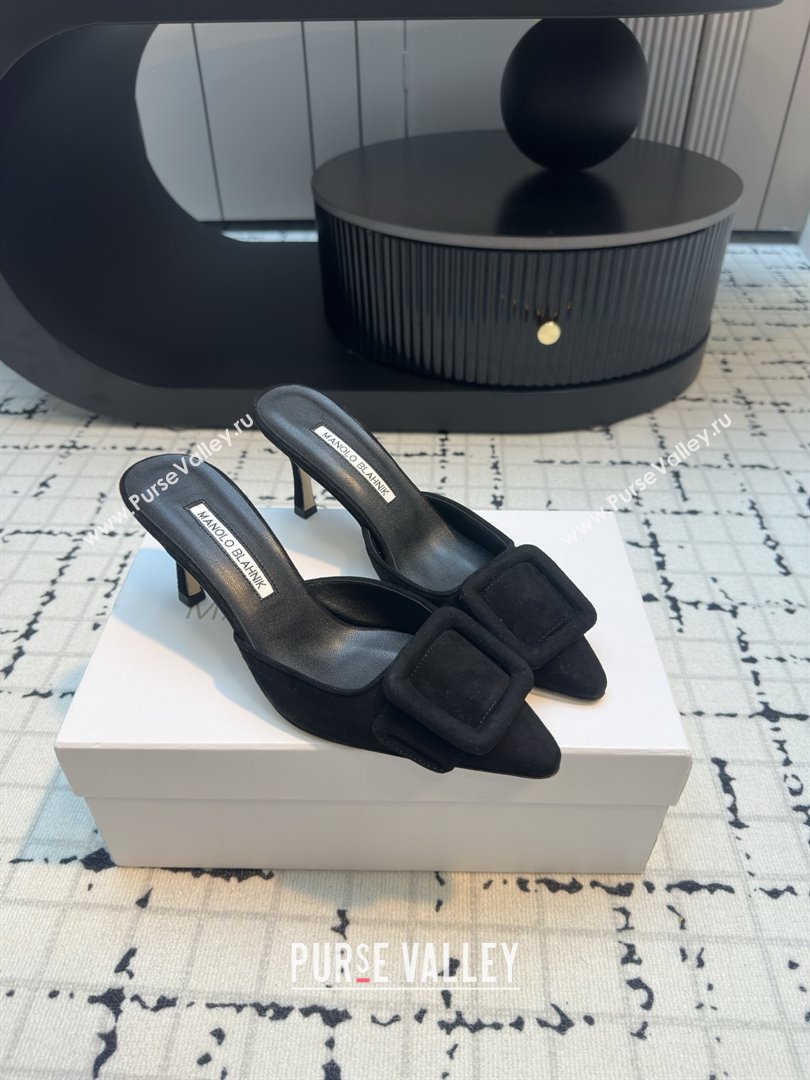 Manolo Blahnik MAYSALE 70 Mules with Buckle in Black Suede 2025 (MGN-25112527)