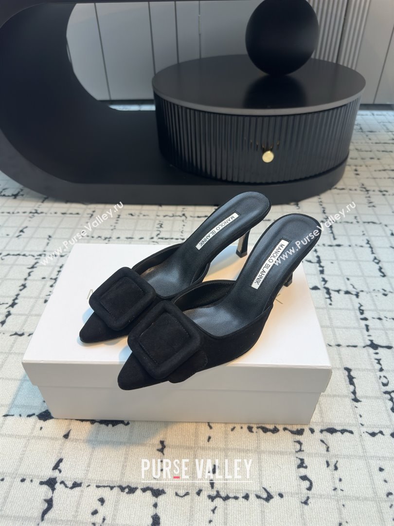 Manolo Blahnik MAYSALE 70 Mules with Buckle in Black Suede 2025 (MGN-25112527)