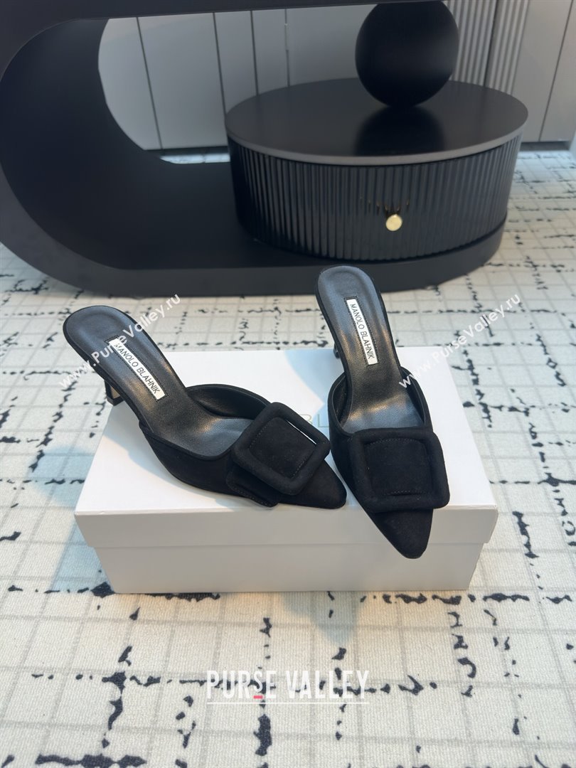 Manolo Blahnik MAYSALE 70 Mules with Buckle in Black Suede 2025 (MGN-25112527)