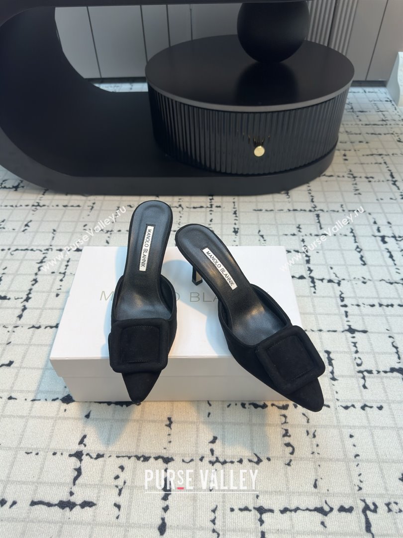 Manolo Blahnik MAYSALE 70 Mules with Buckle in Black Suede 2025 (MGN-25112527)