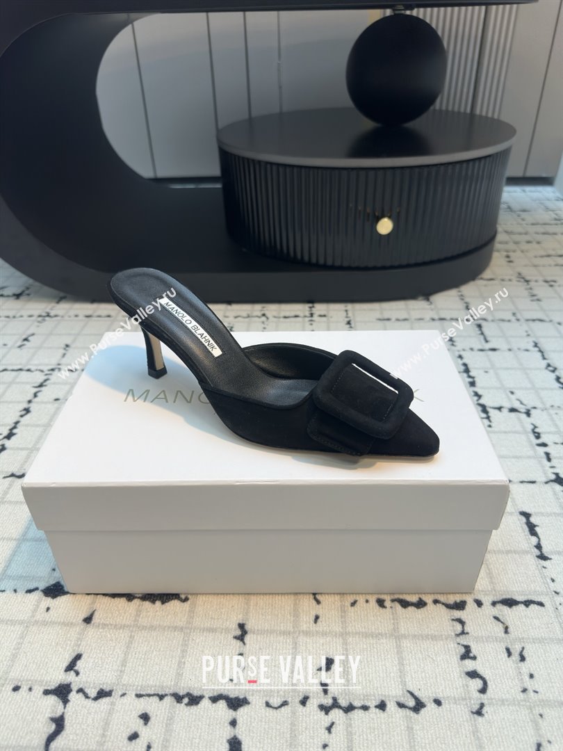 Manolo Blahnik MAYSALE 70 Mules with Buckle in Black Suede 2025 (MGN-25112527)